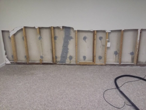 Basement Crack Repair in Washtenaw County, MI